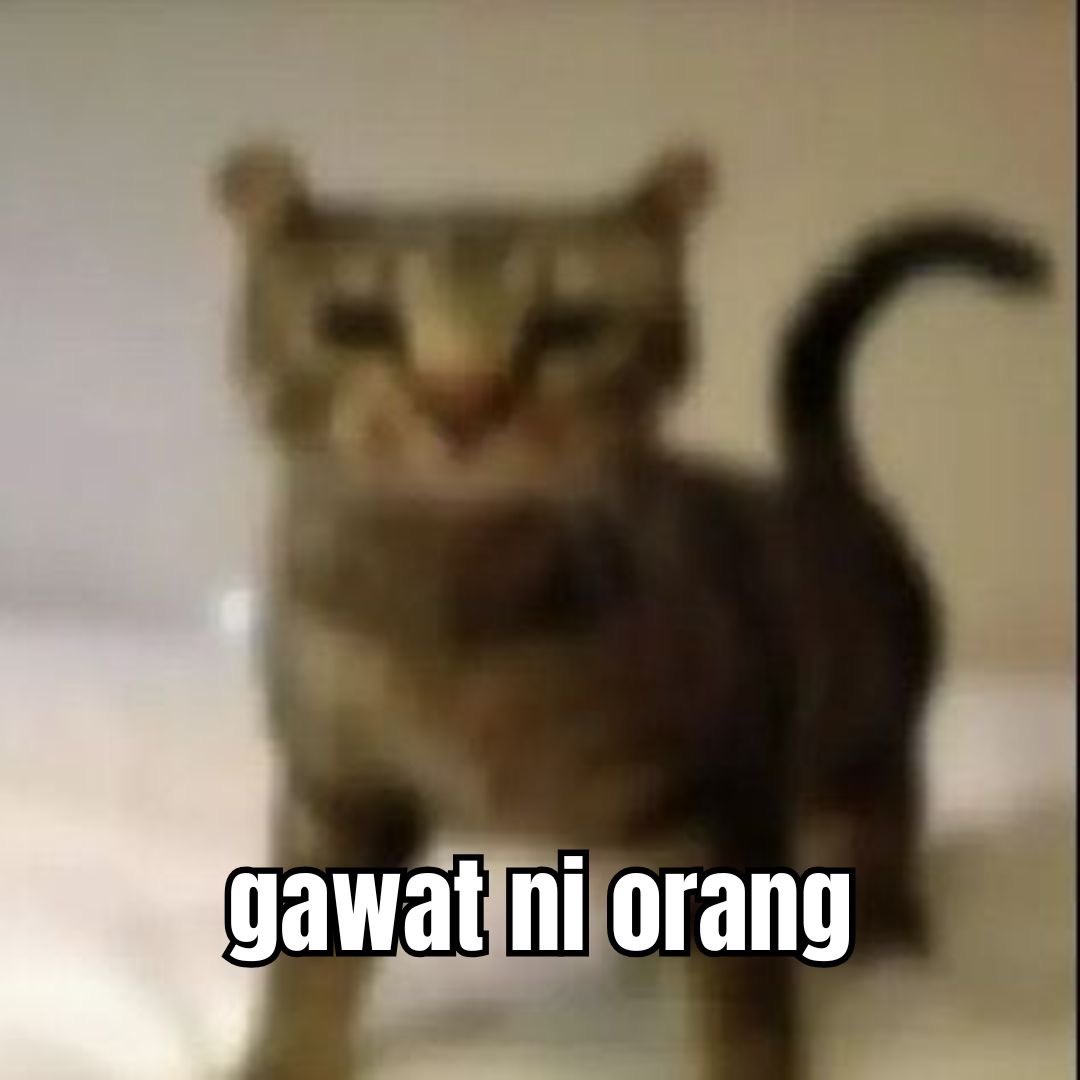 marul 🎧ྀི✮ tweet media