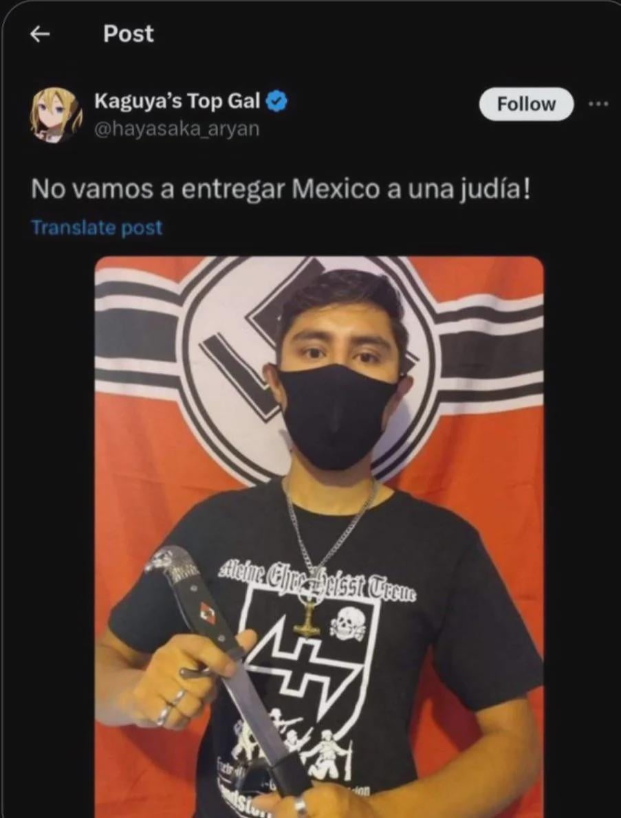 Rogue Stereo 🍄 tweet media