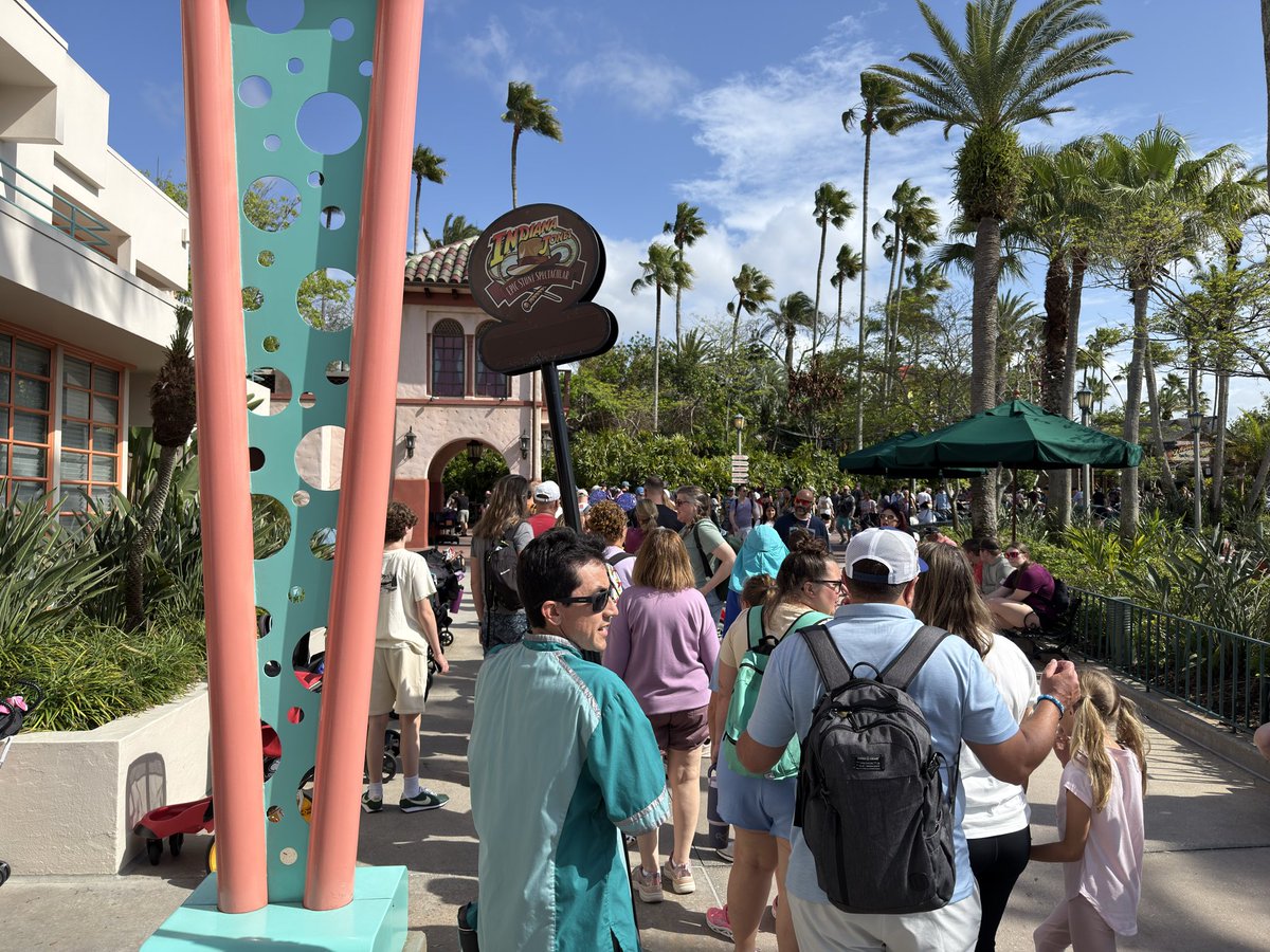 Theme Park Cheetah tweet media