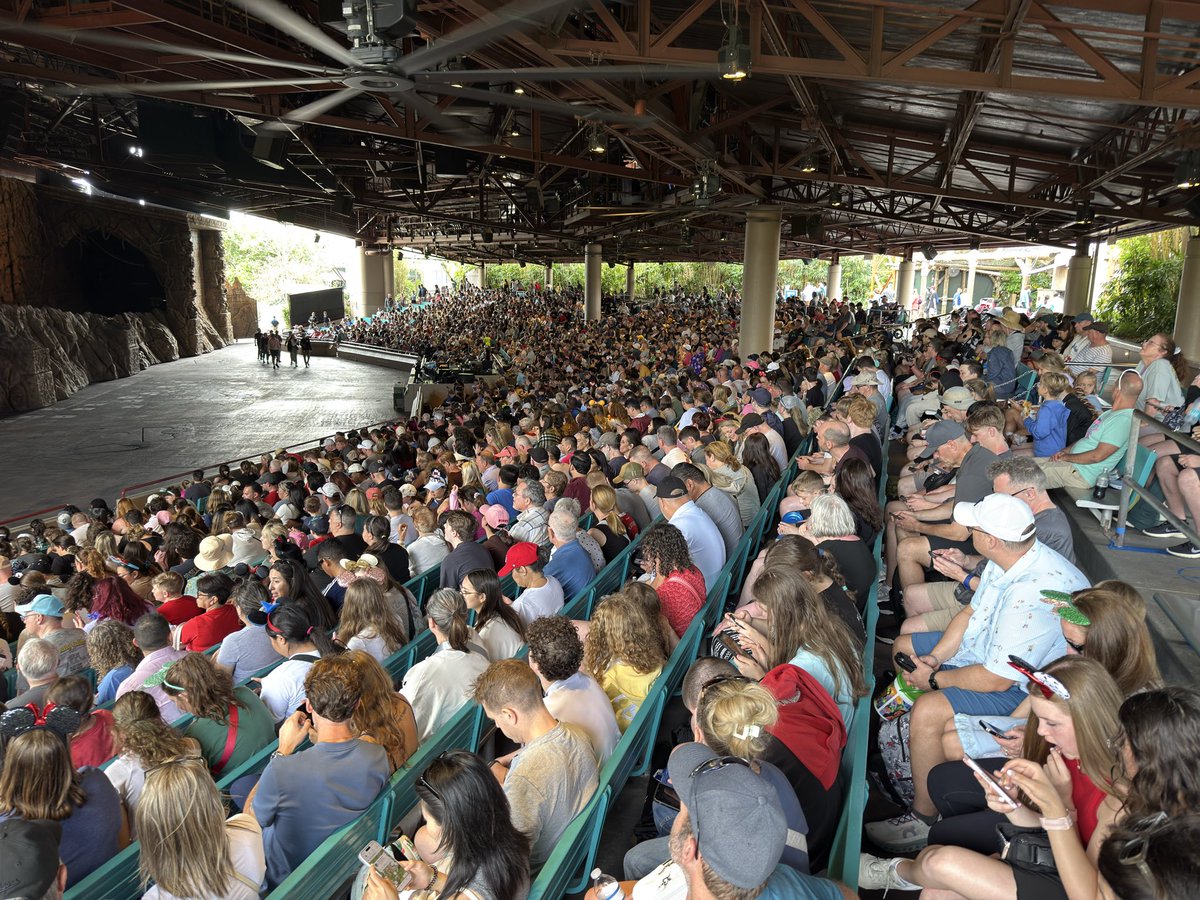 Theme Park Cheetah tweet media