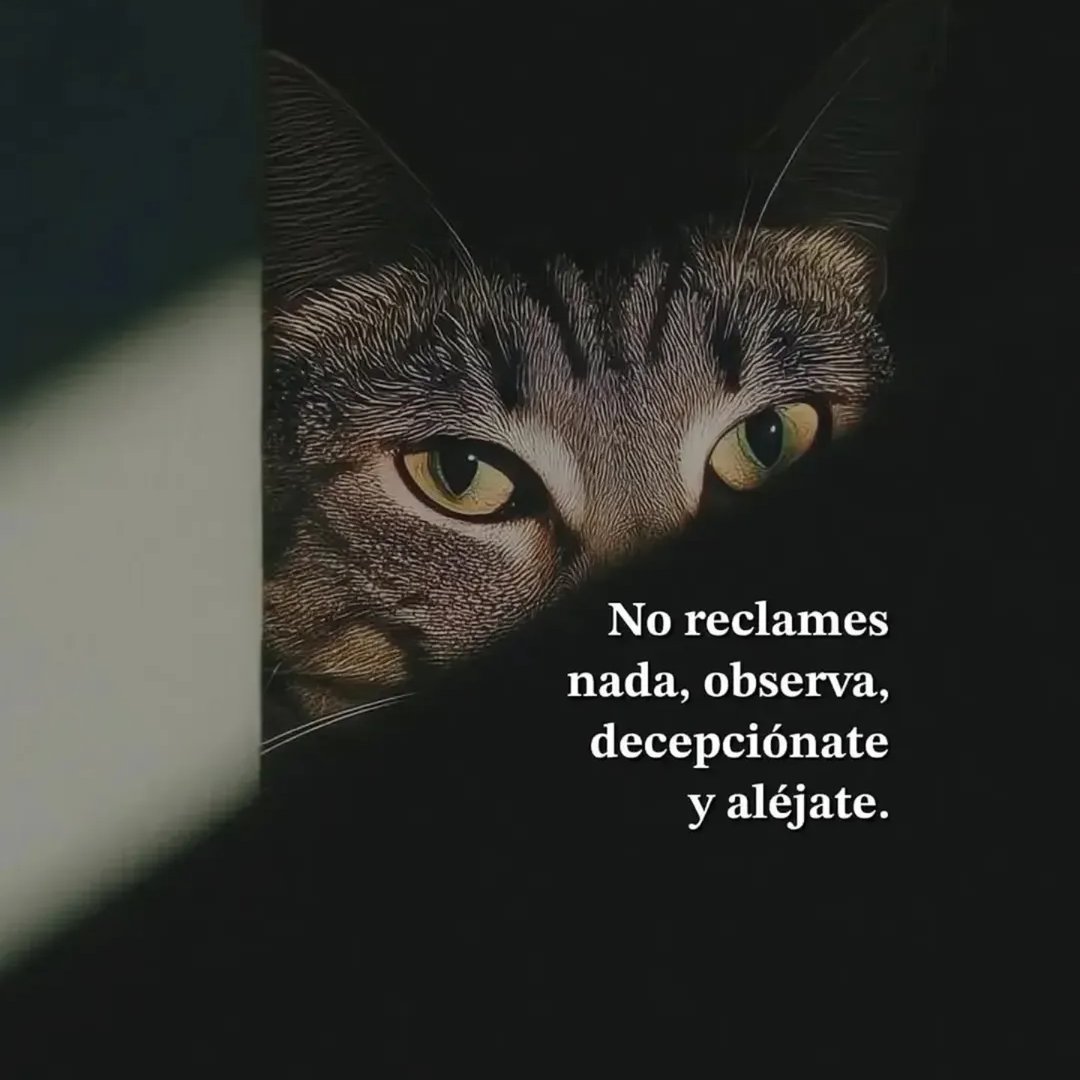 11 Frases sobre la Vida con profundos significados:

-Hilo-🧵

1.