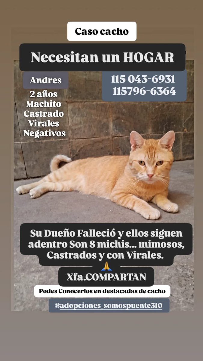 laura santa cruz tweet media