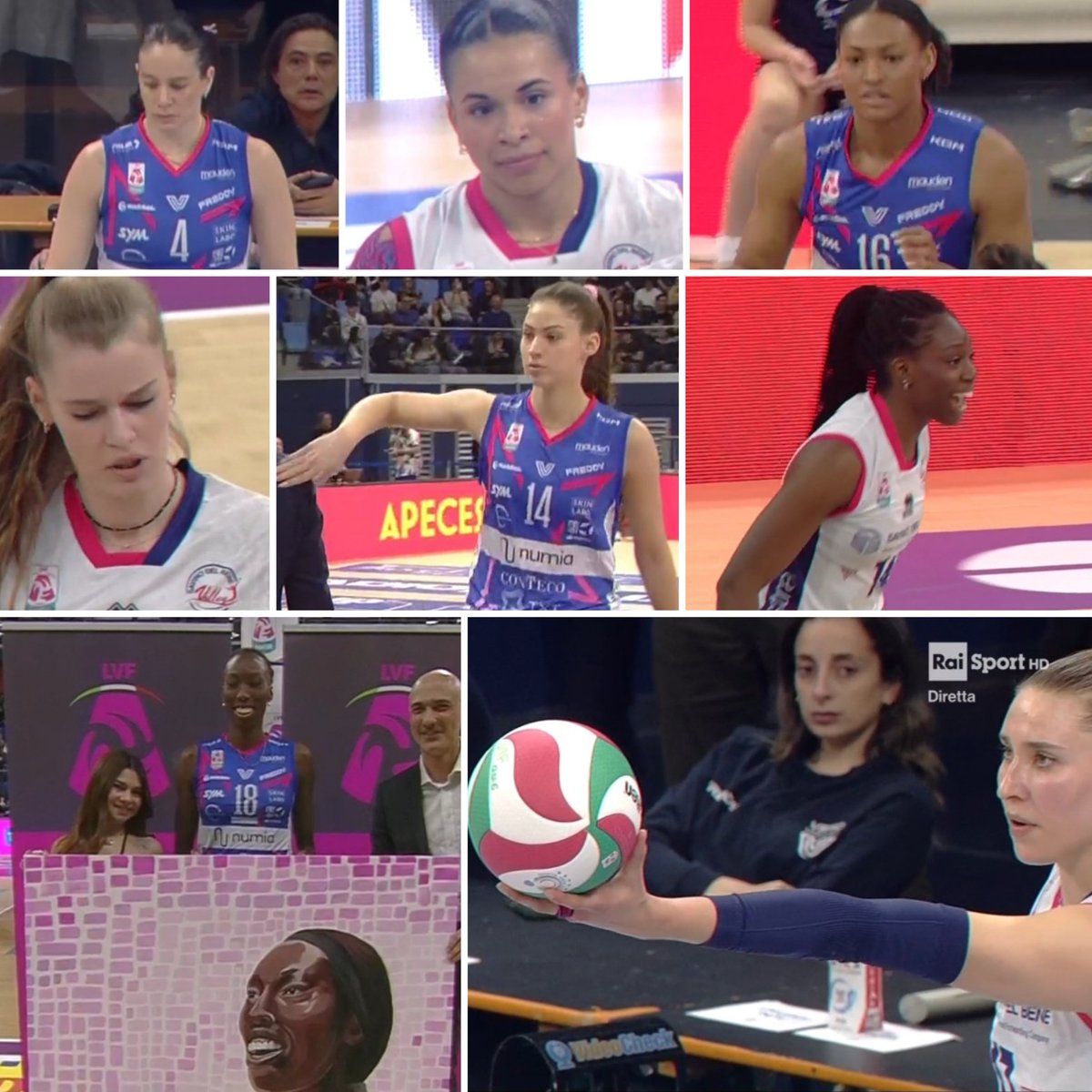 darko bay tweet media