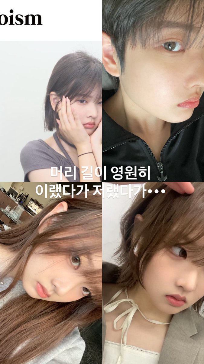 요맘때딸기 tweet media