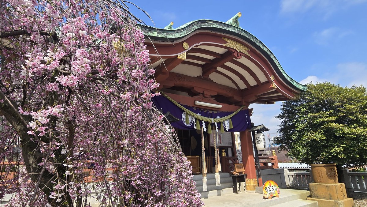 べティ tweet media