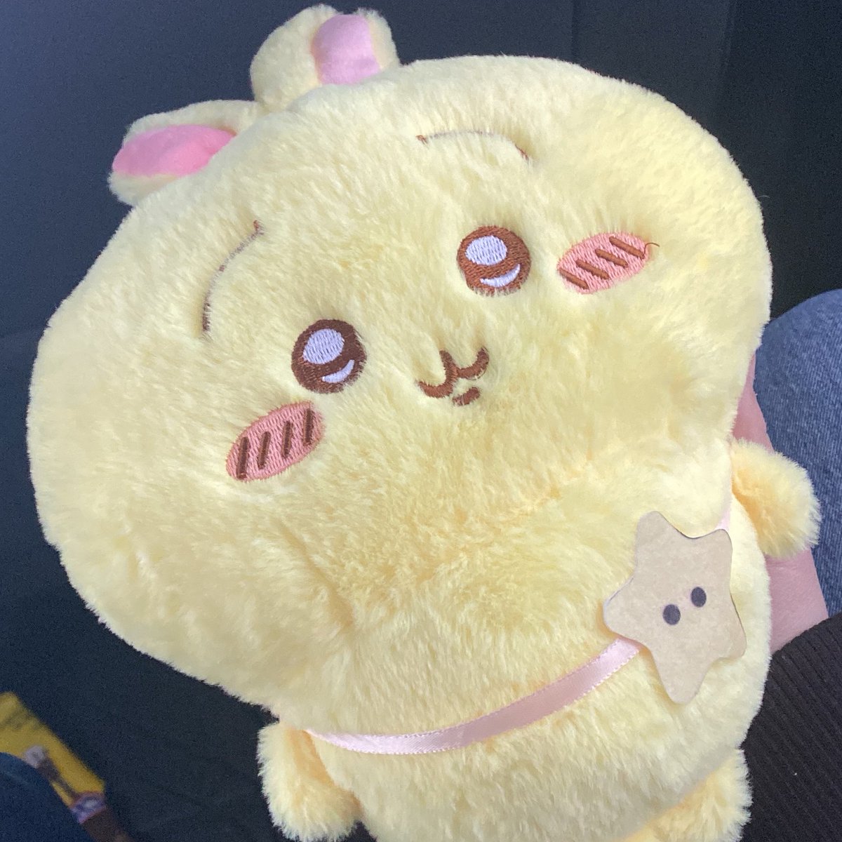 🍀🐰 tweet media