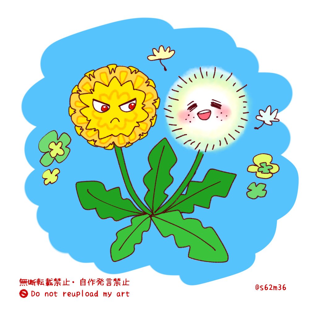 お豆。 tweet media