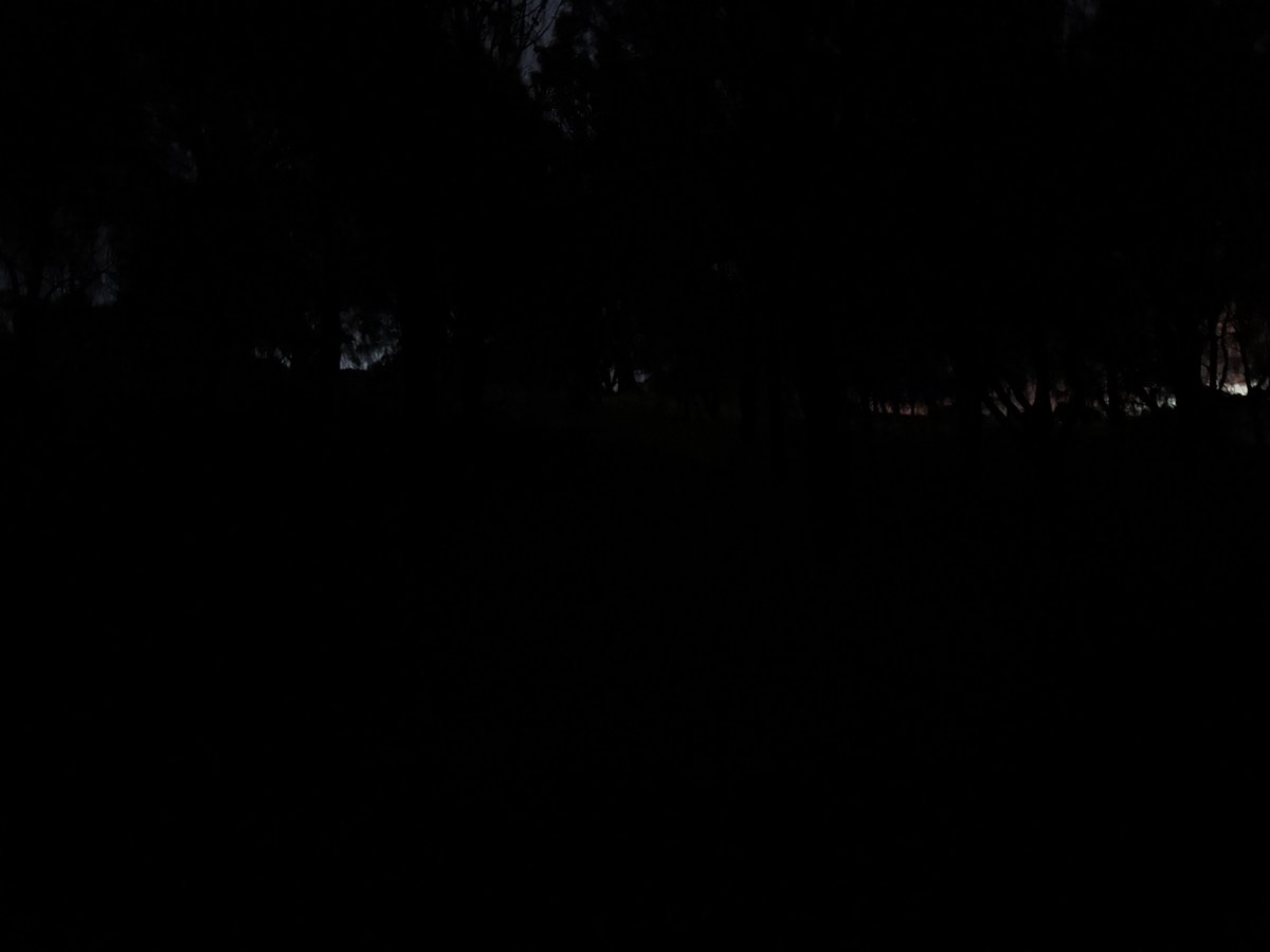 Calliss Clan (@callissclan.bsky.social) tweet media