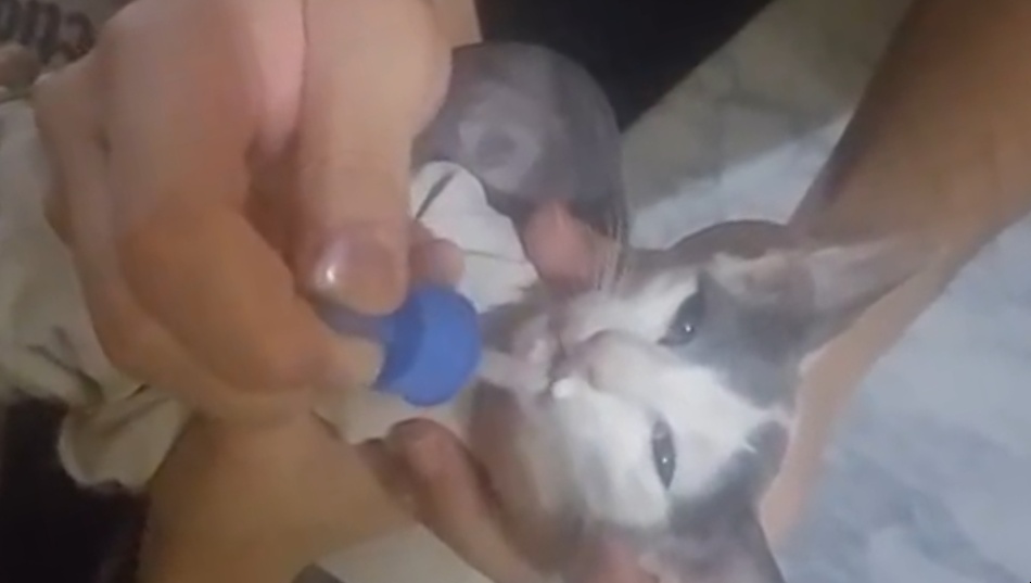 a tramp, a bum, a hobo tweet media