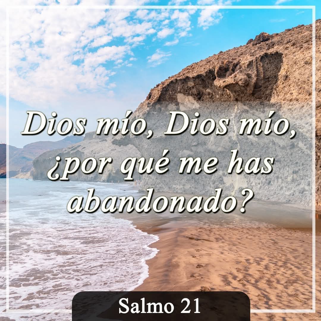 CARLOS Divas tweet media