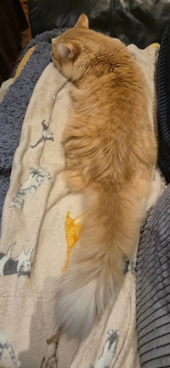 The great Gatsby tweet media