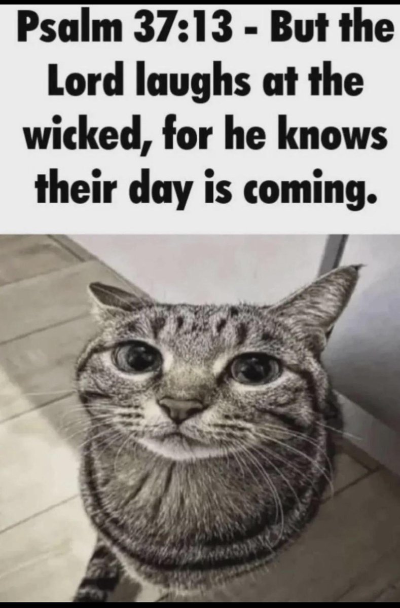 Max Forte tweet media