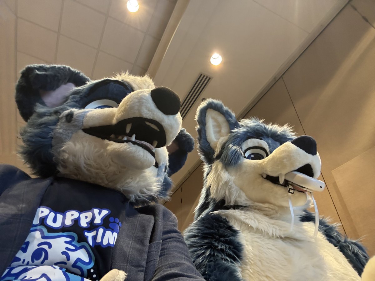 Little Alpha Pup (Milo) 🔜 LVFC tweet media