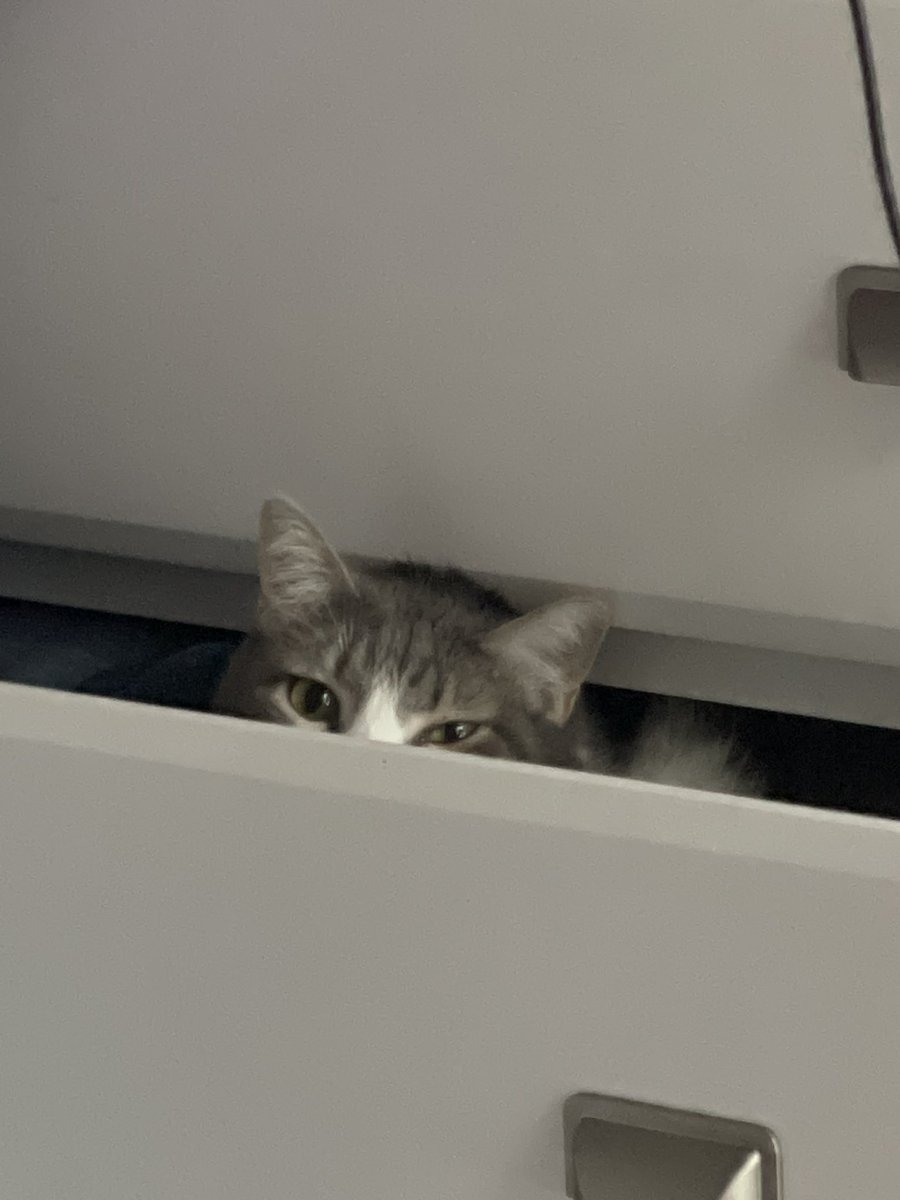 ychris — ia tweet media