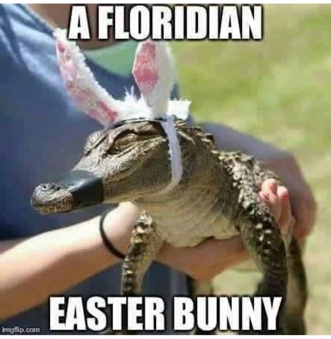 Paddy Parker ☘️ tweet media