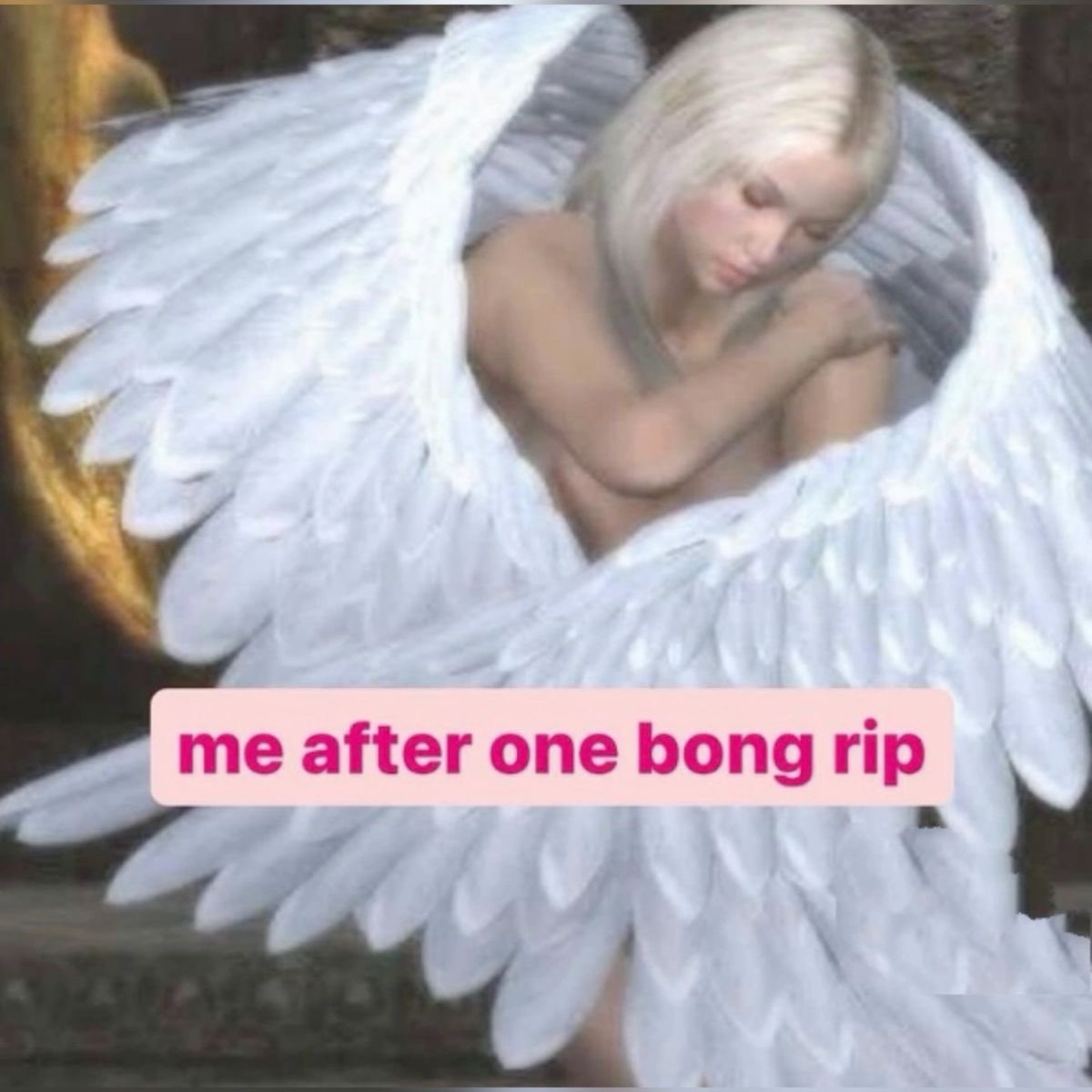 Star Slop tweet media