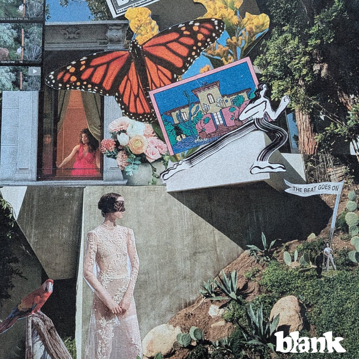 Tyler Blank tweet media