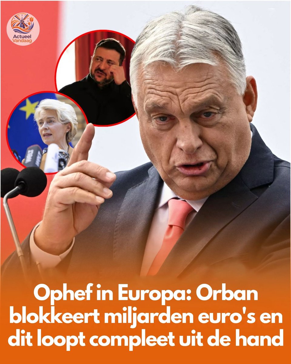 Albert Cremer tweet media