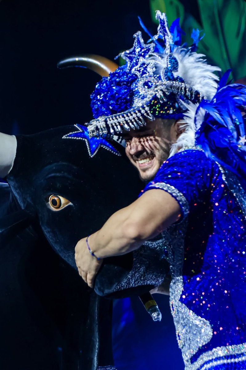 ana 🪇⭐💙 tweet media