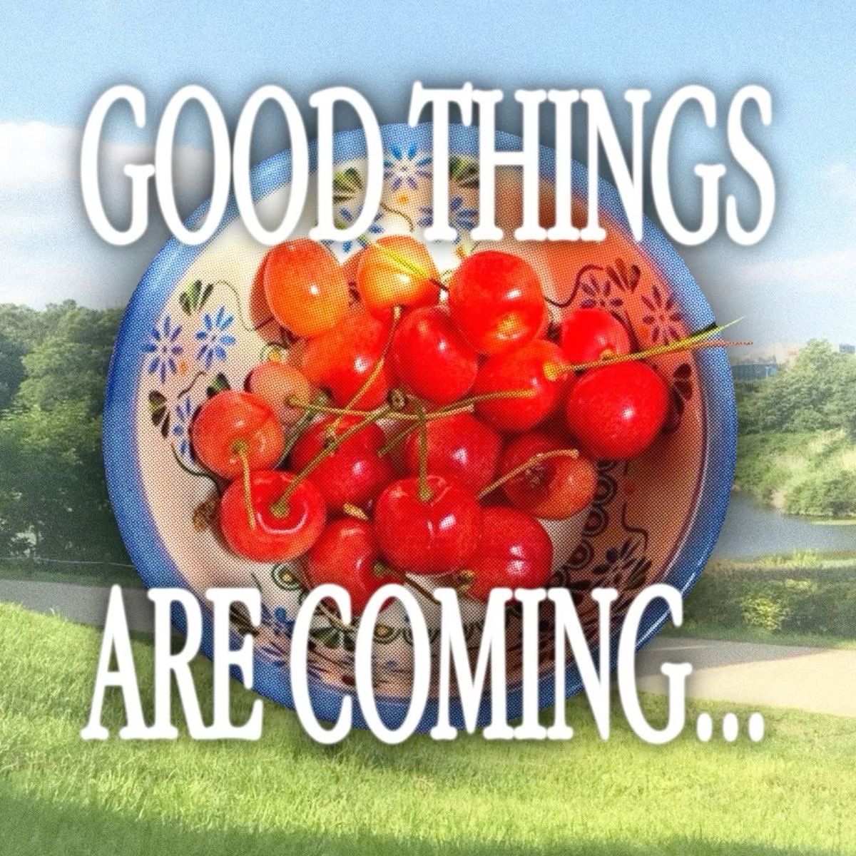 Star Slop tweet media