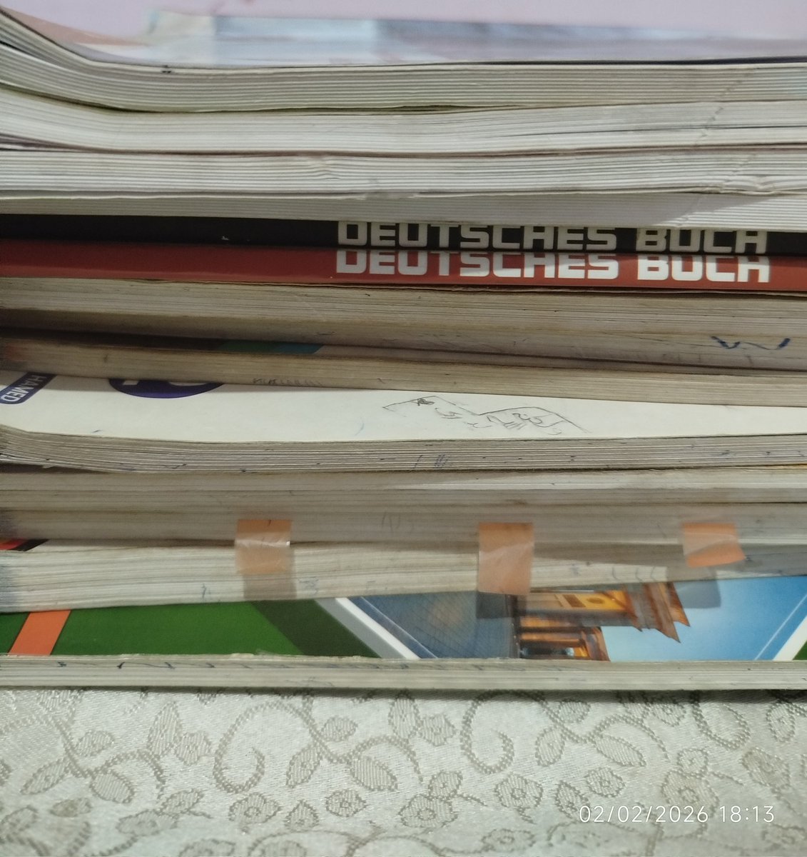 Shahd elattar tweet media