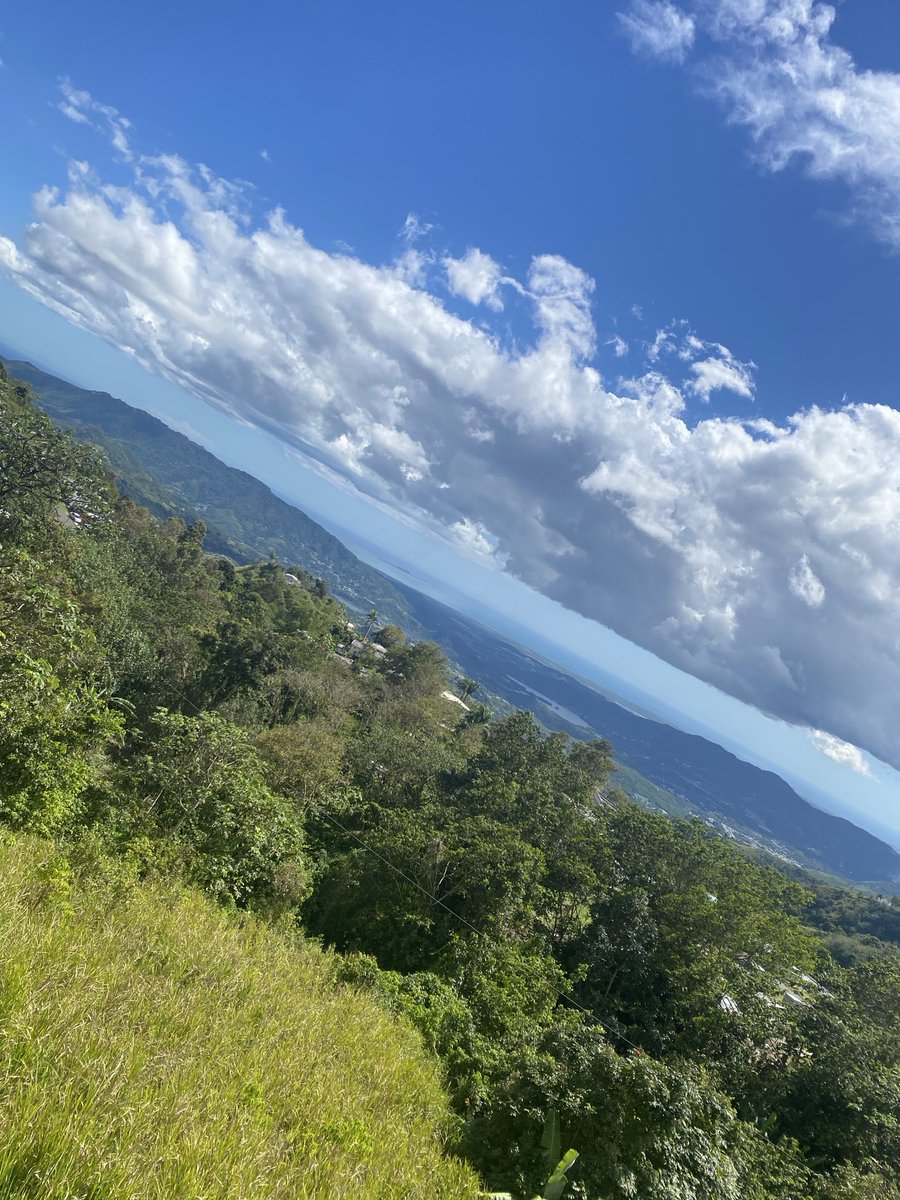 Héctor Maldonado tweet media