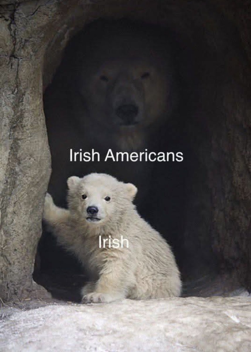 O'Cannon🇺🇸🇮🇪 tweet media