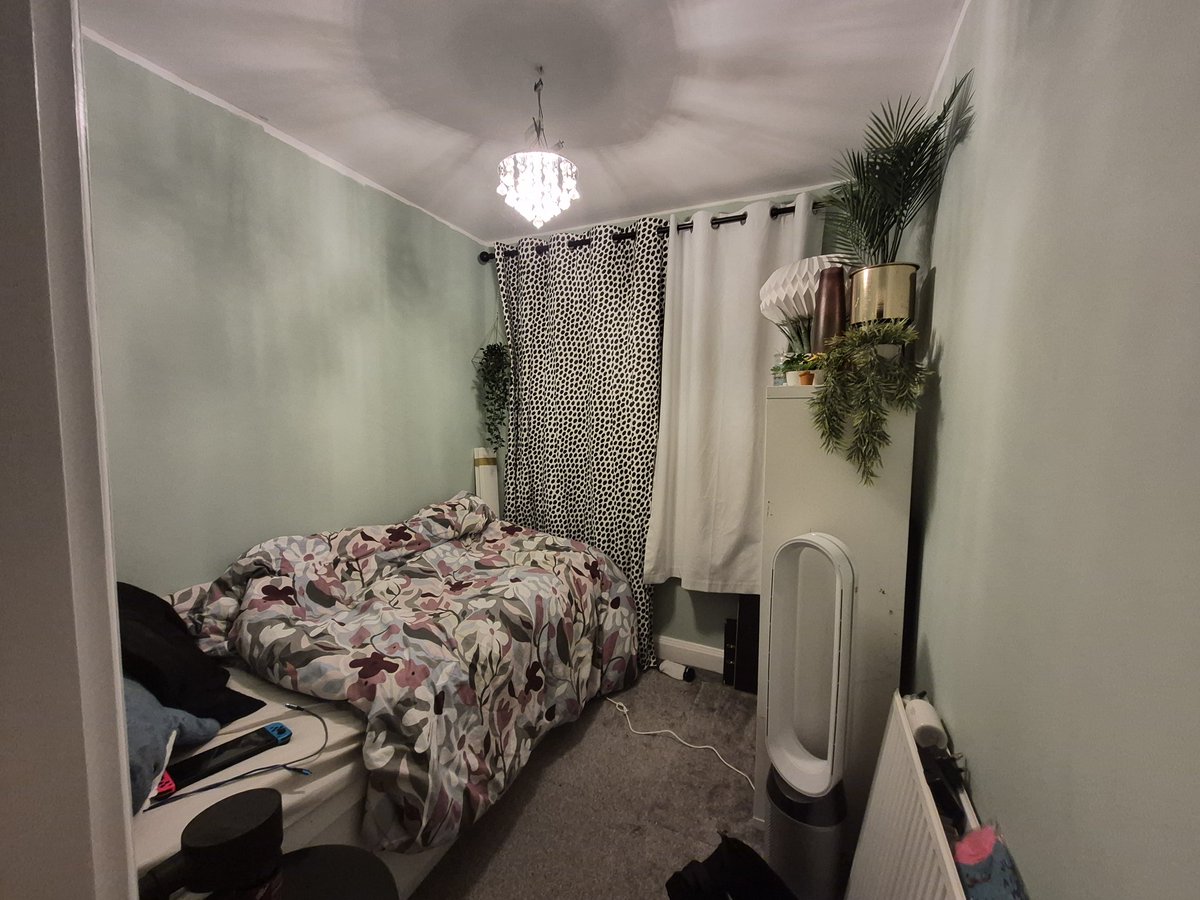 Jay 🦬 tweet media