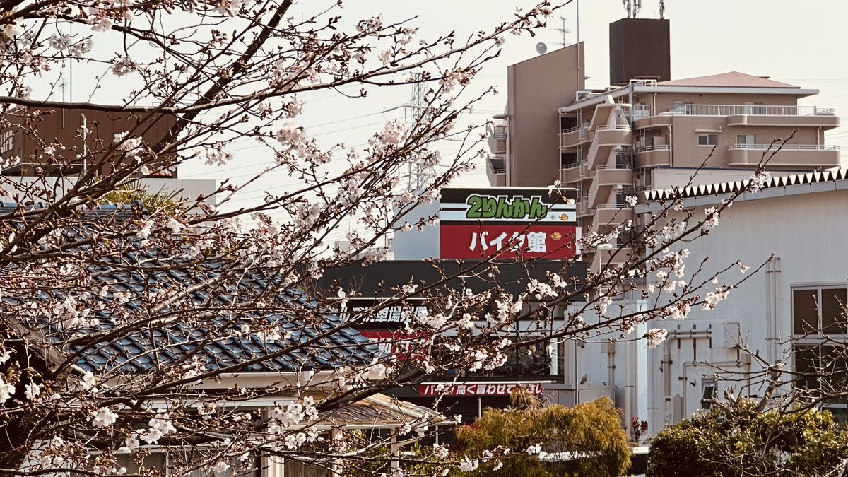 はいすろて＠GIXXER250 tweet media