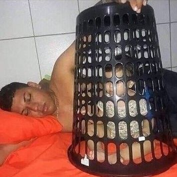 noellie irina romanov barnes tweet media