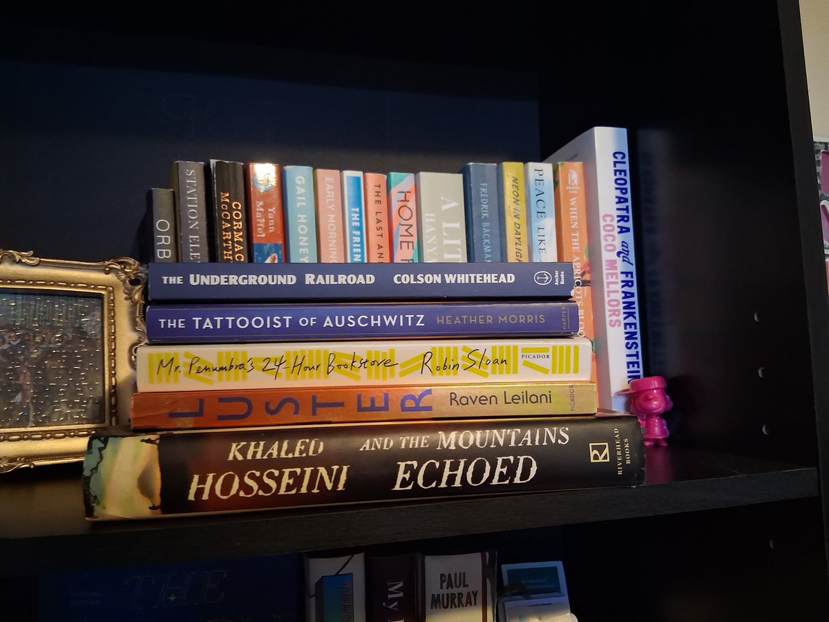 Faith 🦆📚 tweet media