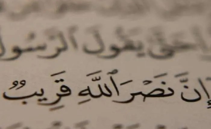 Salvaged tweet media