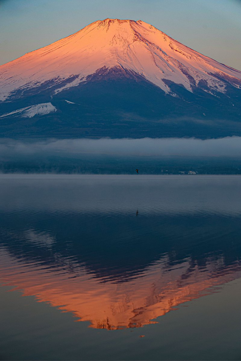 たかたか tweet media