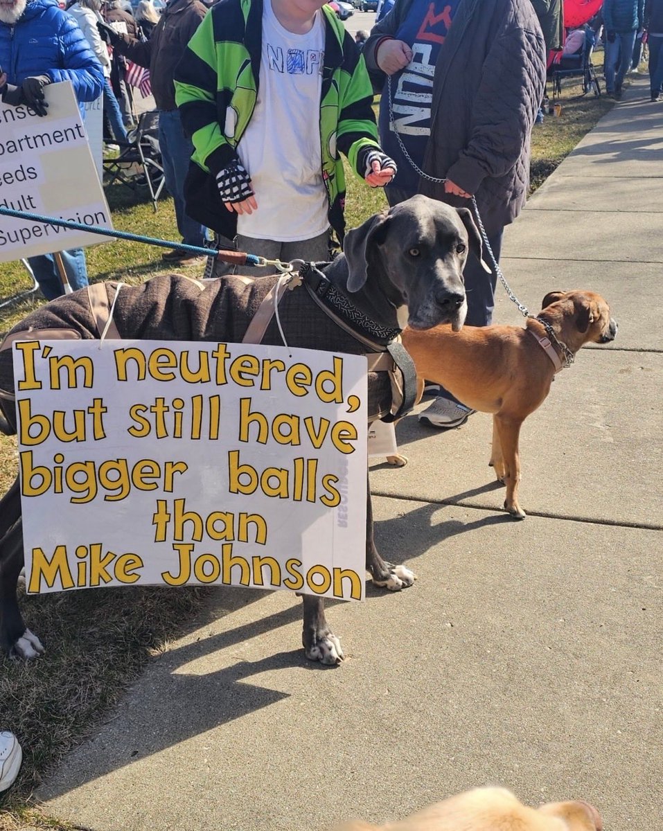 Ed Boyle tweet media