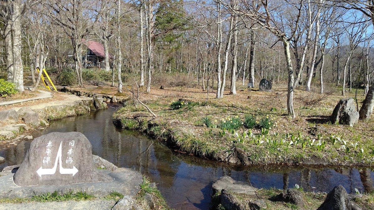 toshi💚緑のグリュンヴェルデ🍀 tweet media