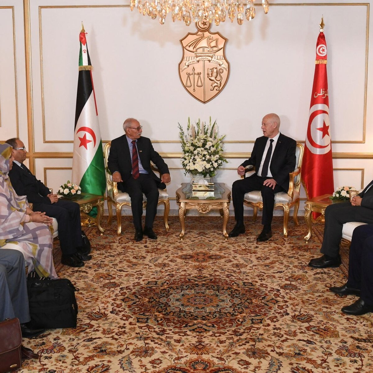 Amchiche 🐱 tweet media