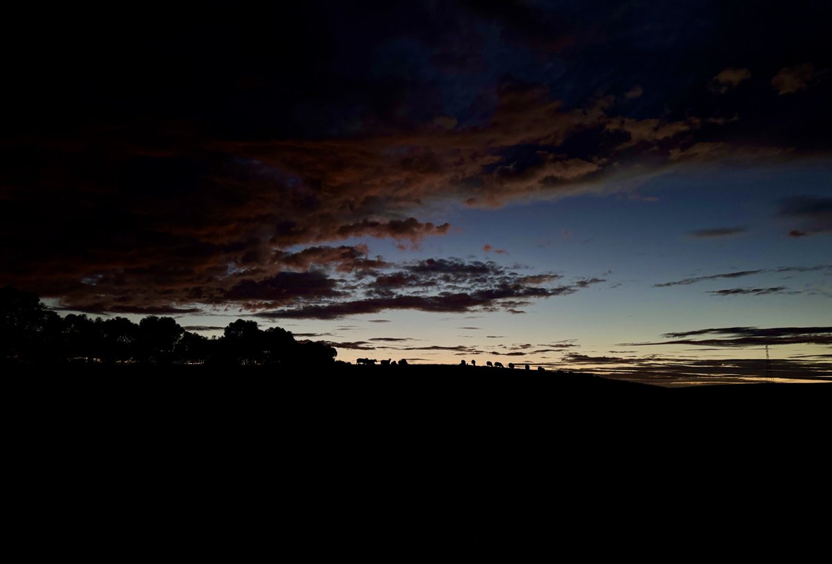 Calliss Clan (@callissclan.bsky.social) tweet media