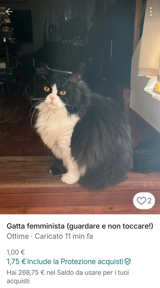 sometimes_c tweet media