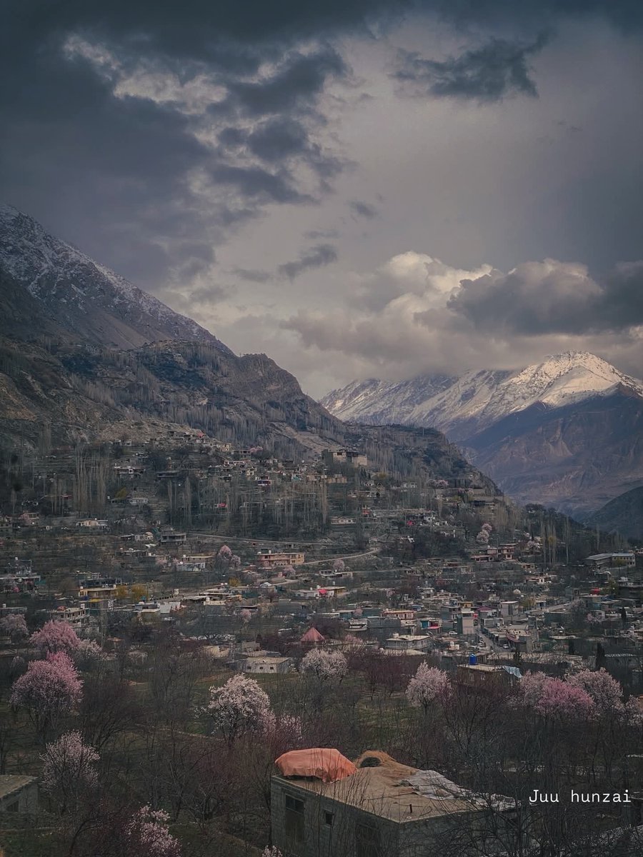 The_North_Blood's tweet photo. It feels like heaven paused for a moment… just to let you breathe it in🌸✨

.
.
.
.
.
.
#Spring #blossom #hunzablossom #gilgitbaltistan #Hunza #Karakoram #Rakaposhi 🏔️ https://t.co/gRGjb3Ivtc