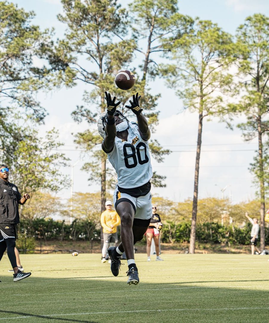 DAVID ABOYA tweet media