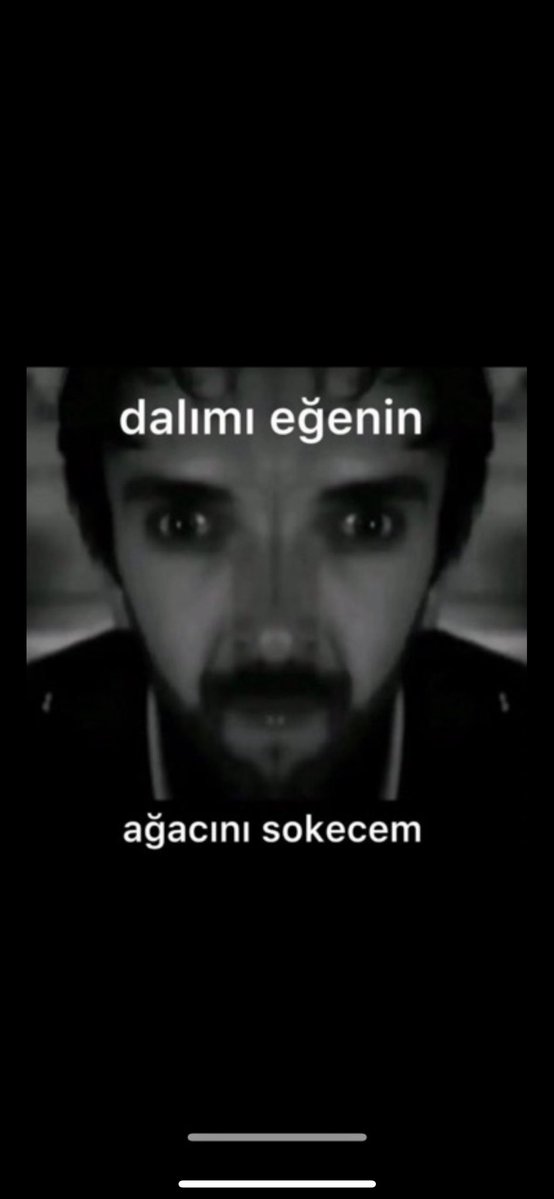 liorapera tweet media