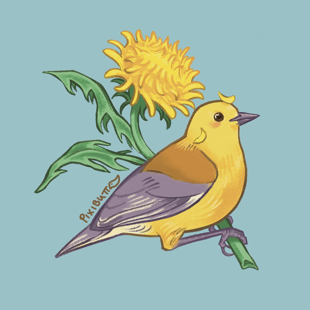 Prothonotary warbler sticker for spring !

#birds #birdart #warblers #wildlife