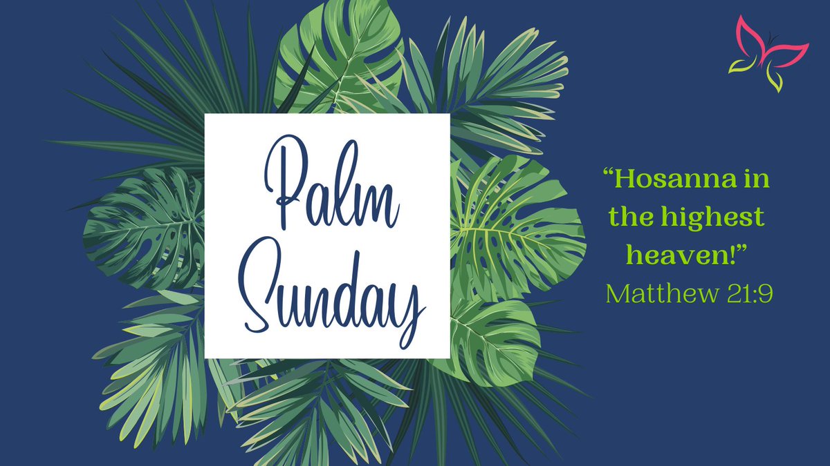 niNe. magazine tweet media