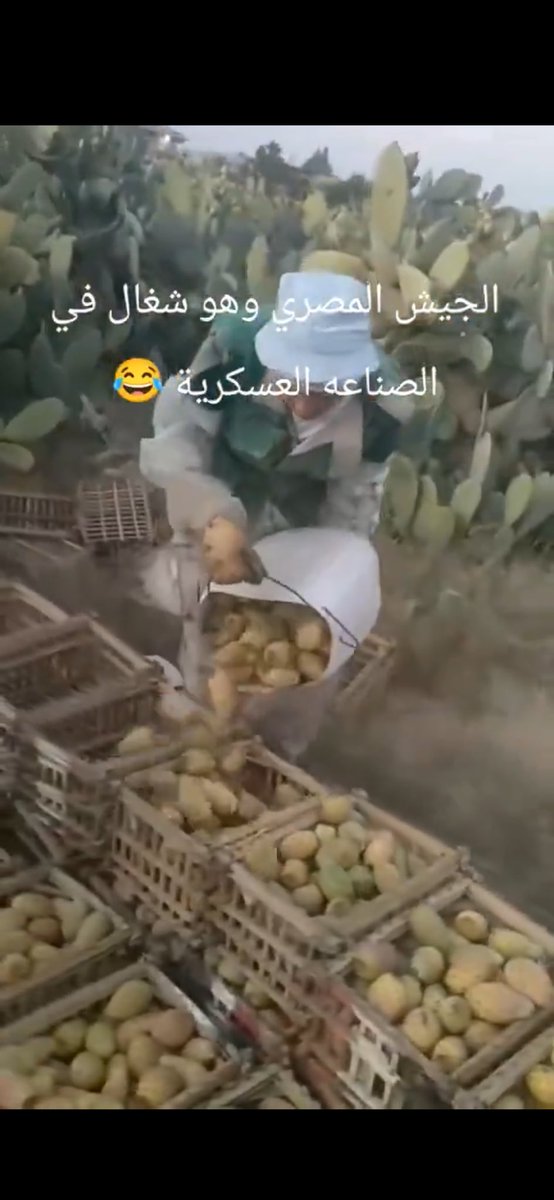 هولمٓز tweet media