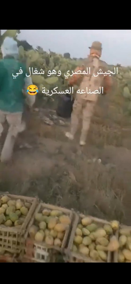 هولمٓز tweet media