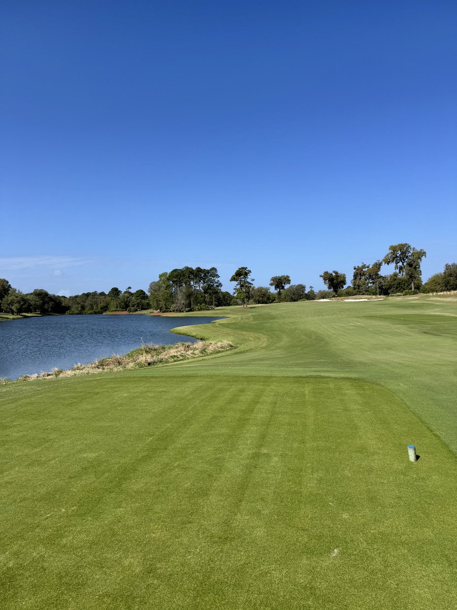 Dr. King Schultz 🦷 tweet media