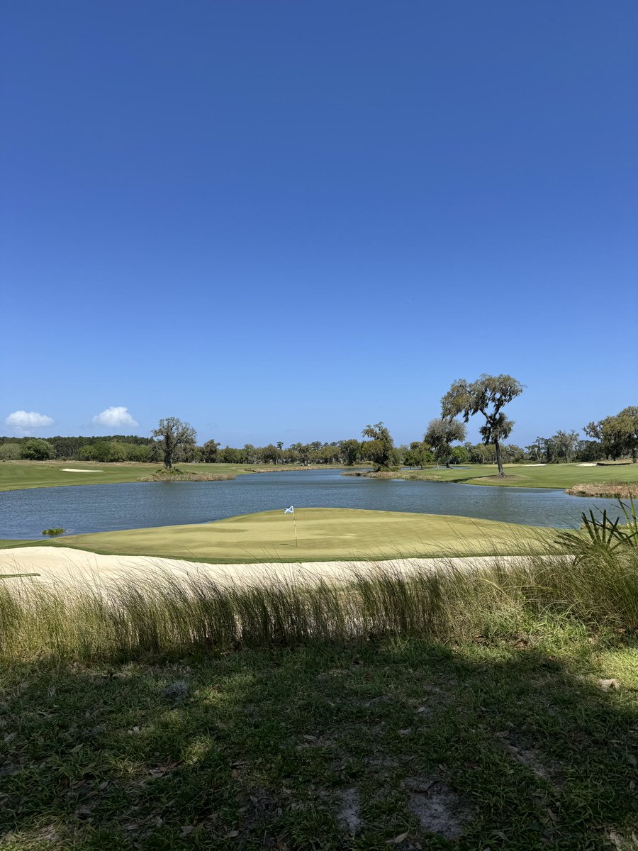 Dr. King Schultz 🦷 tweet media