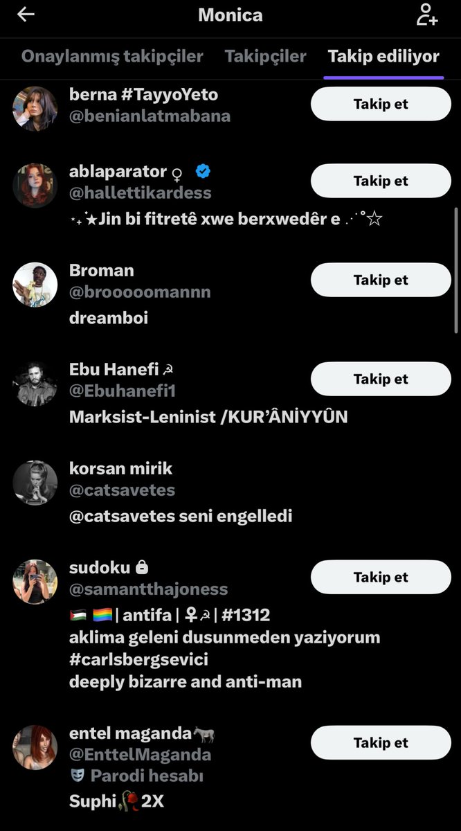 denizekinz tweet media