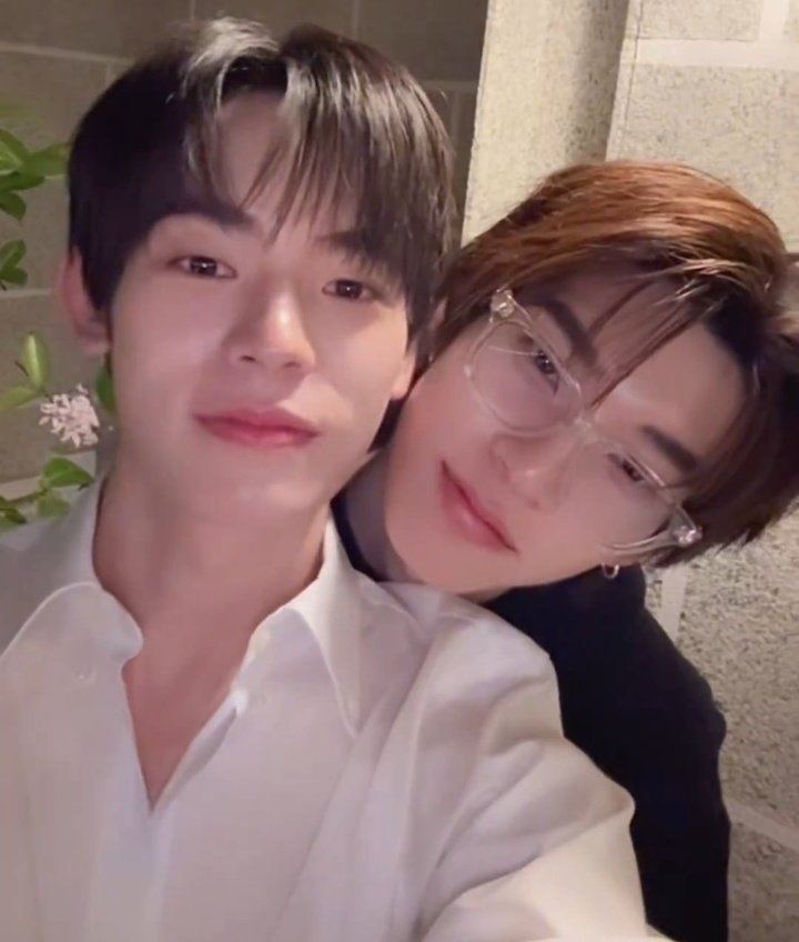 lexi ꪆৎ dwy tweet media