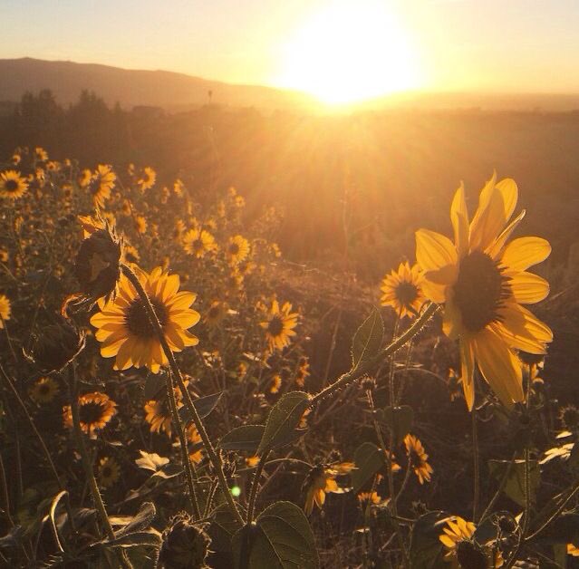 𝄞⨾𓍢ִ໋ maz tweet media